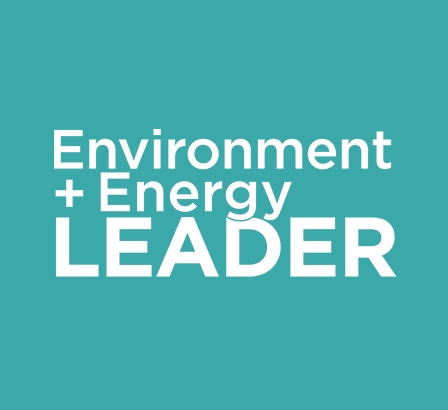 2021年最佳项目奖，环境和能源领袖