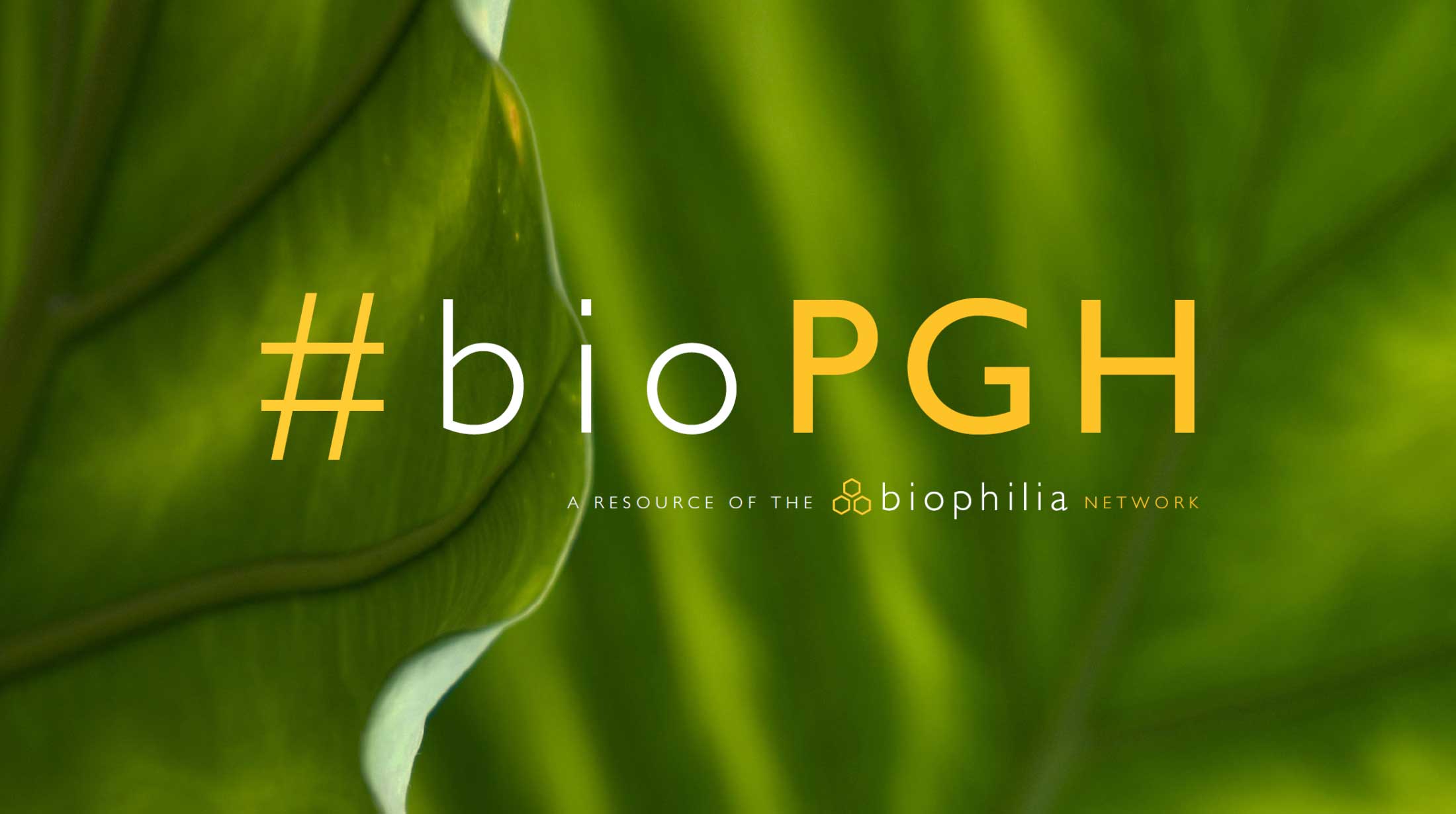# bioPGH博客