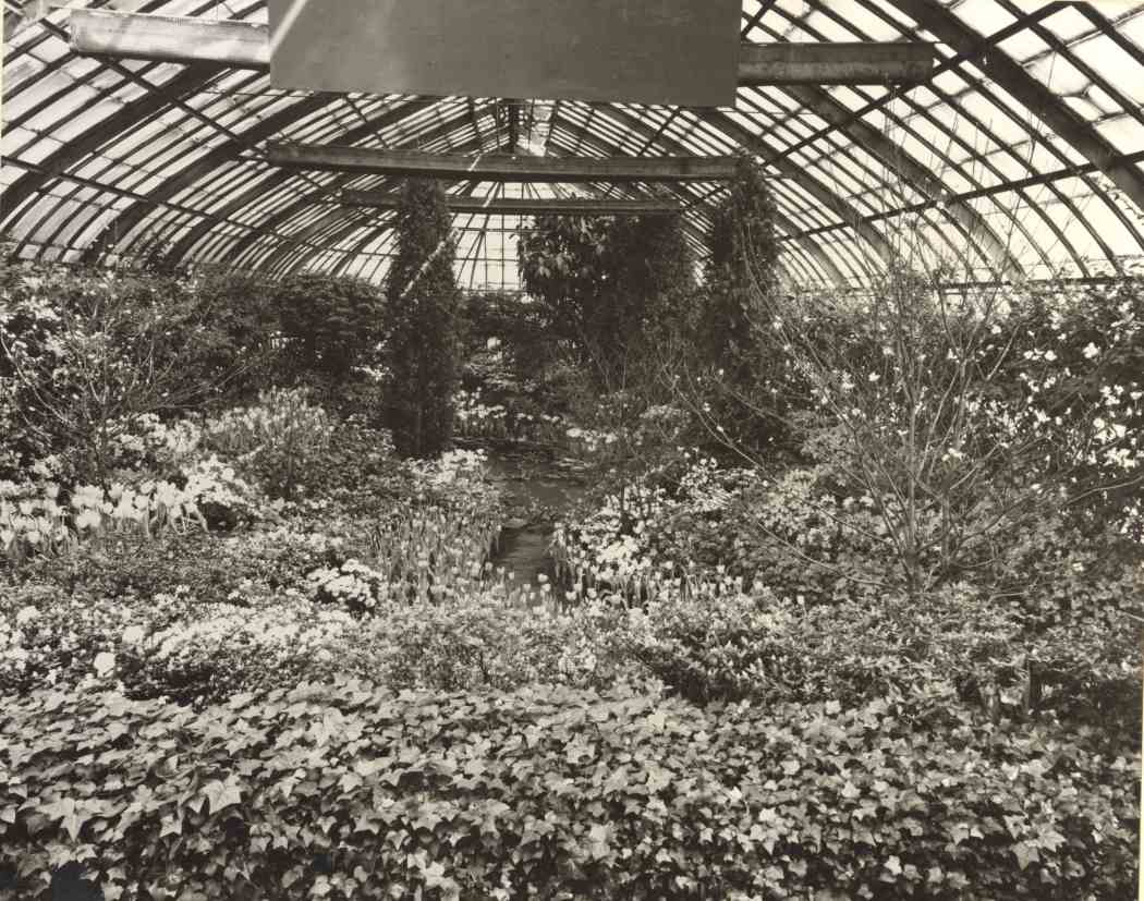 1948年春季花展