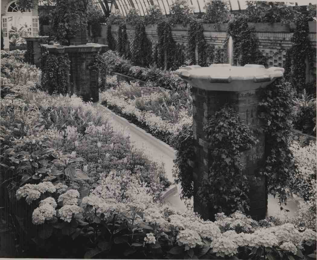 1953年春季花展