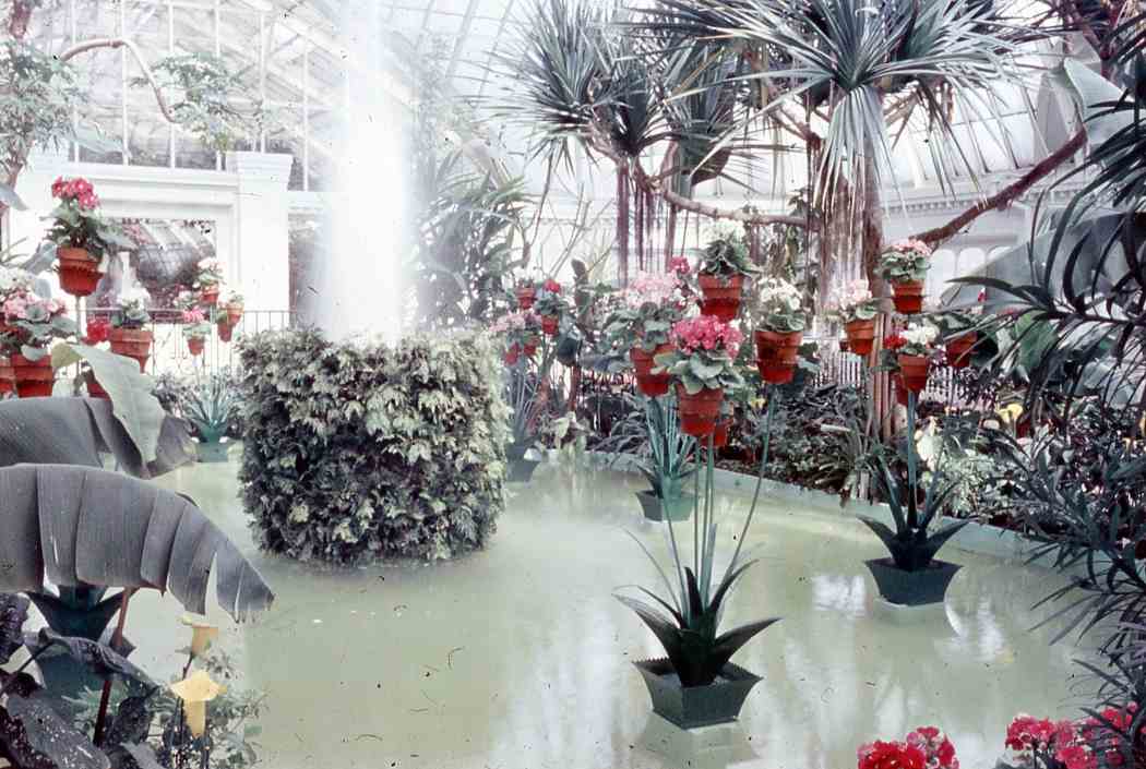 1954年春季花卉展