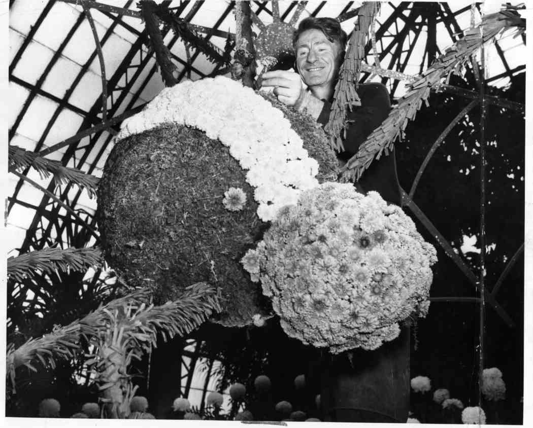 1955年秋天花展