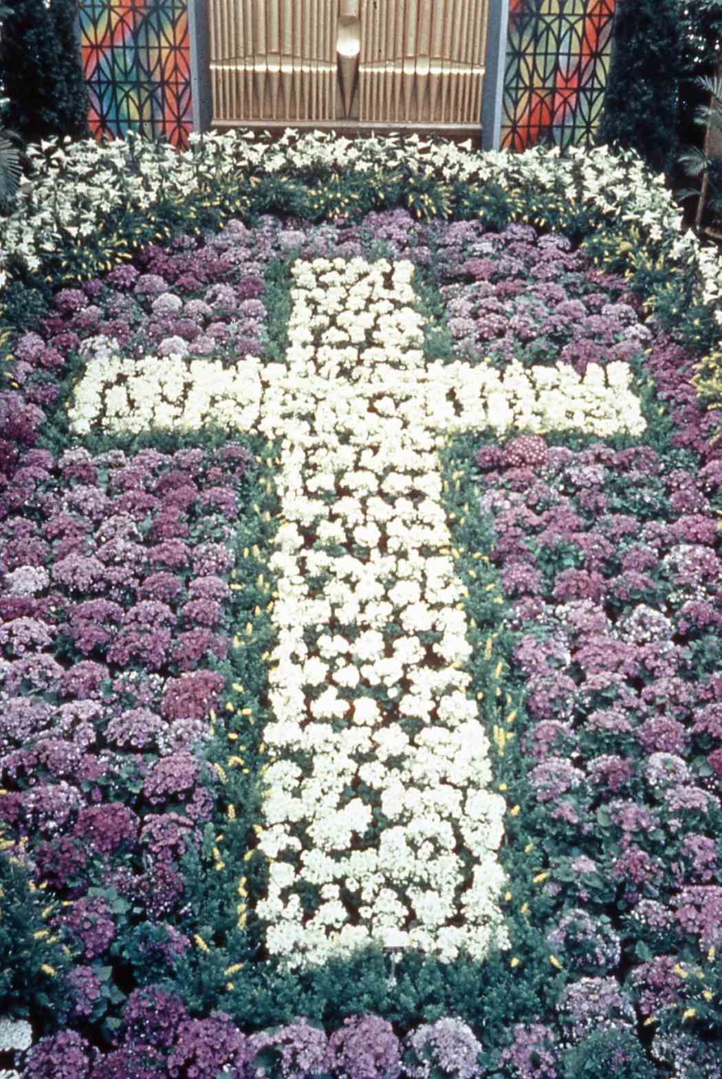 1958年春季花展