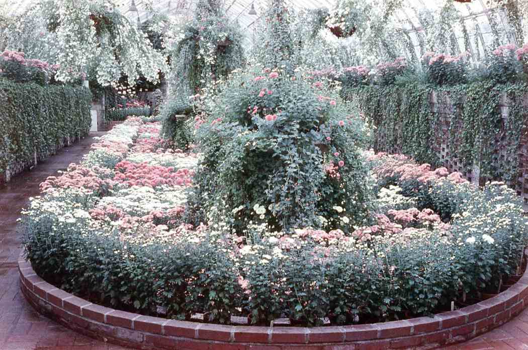 1959年秋季花卉展