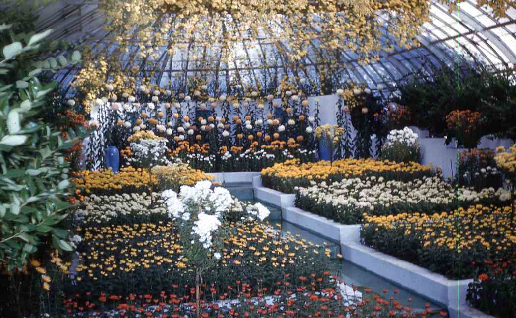 1960年秋季花卉展