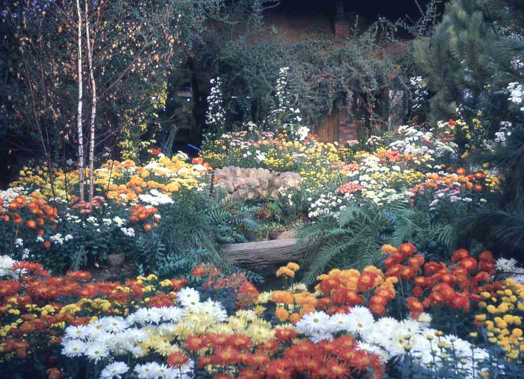 1961年春季花卉展