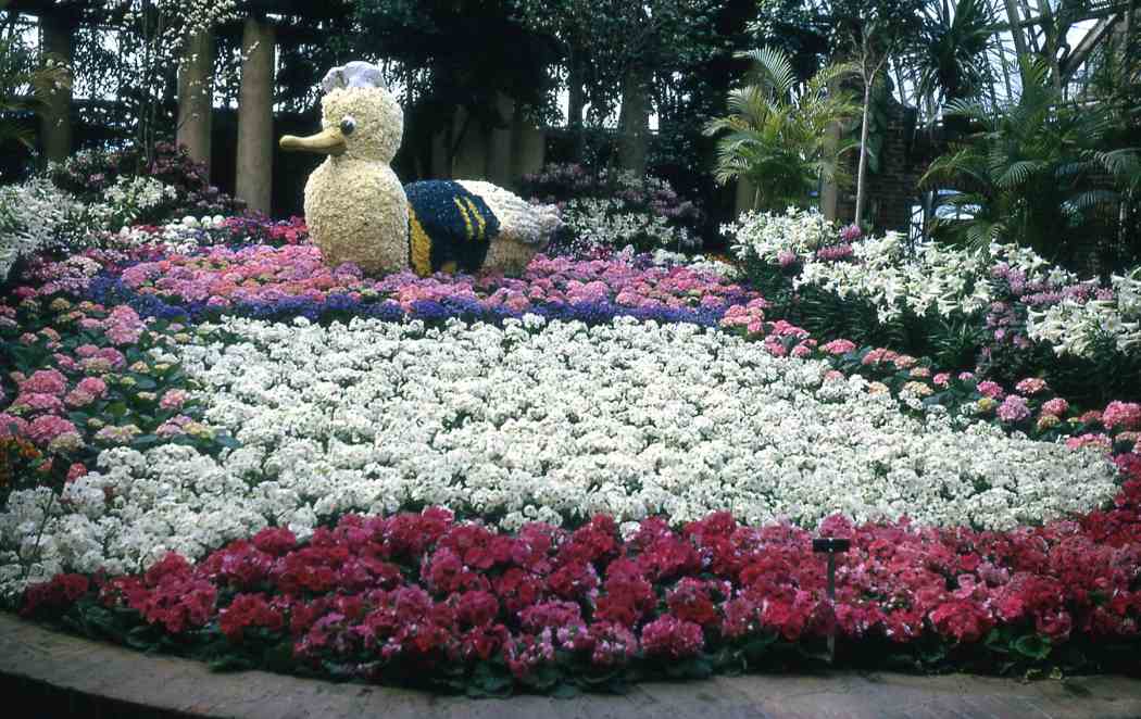 1964年春季花展