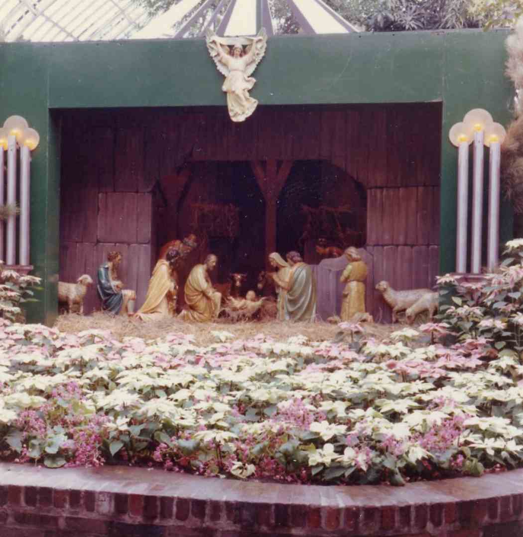 1965年冬季花展