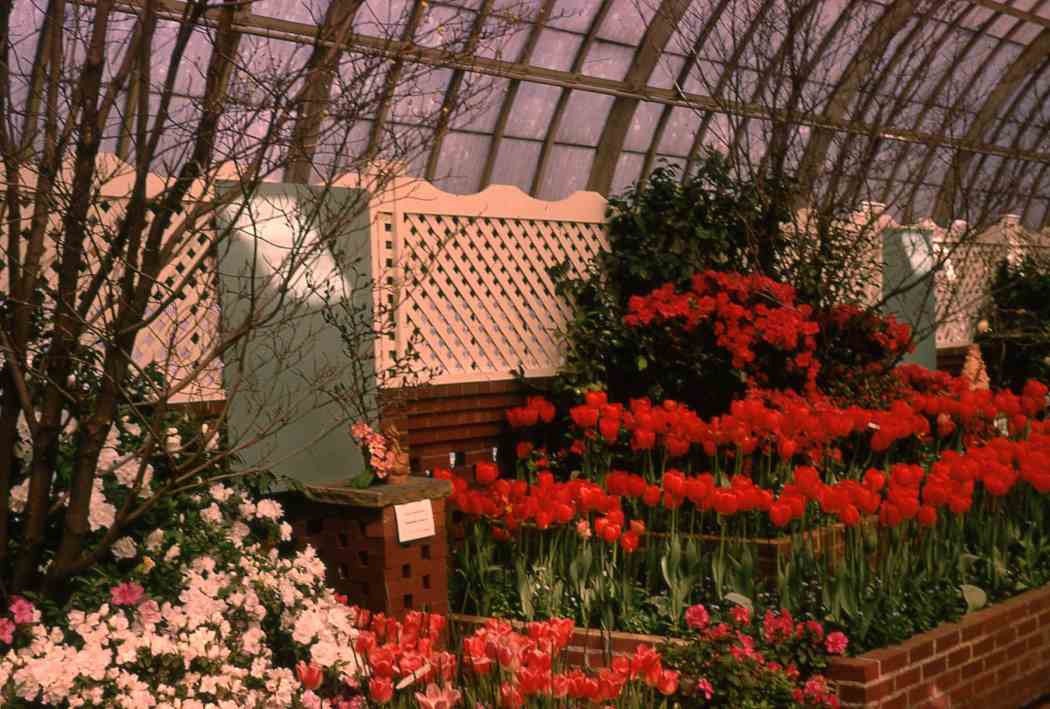 1967年春季花卉展