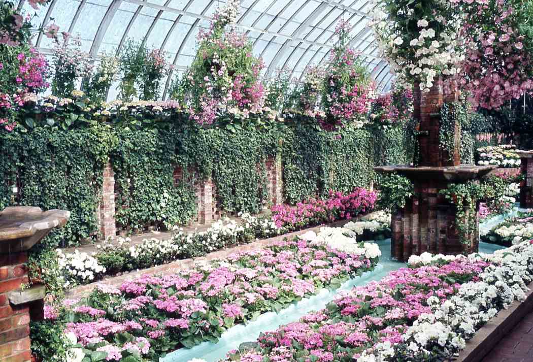 1967年春季花卉展