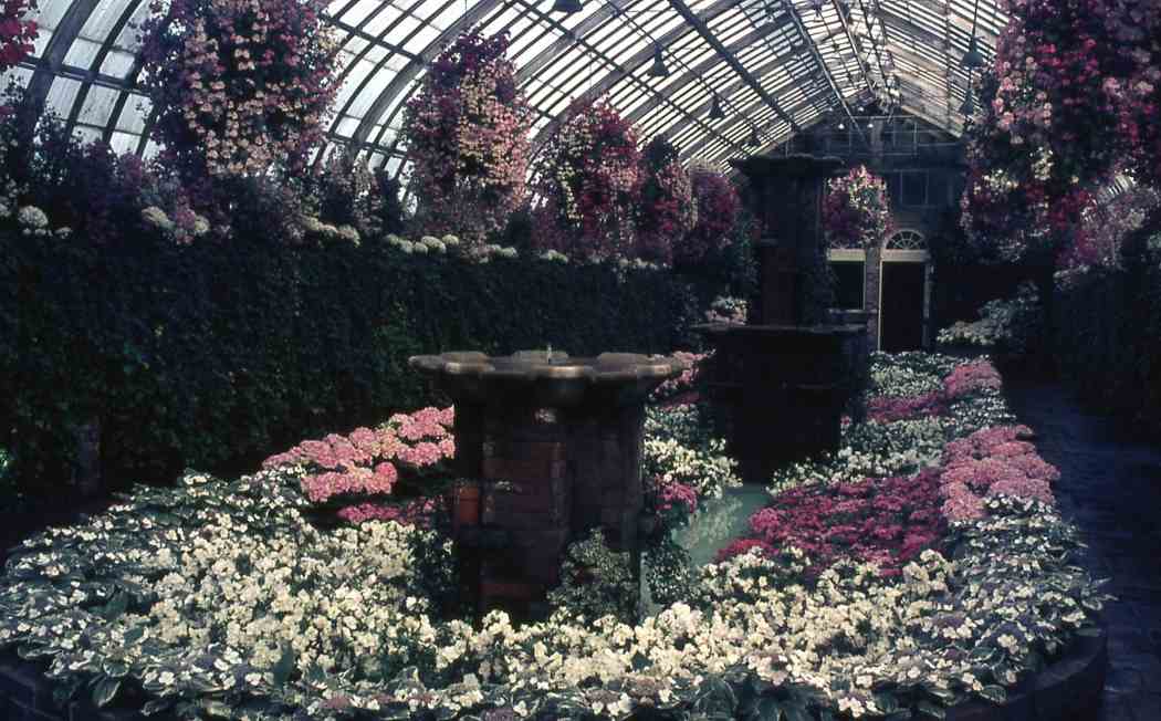 1969年春季花展
