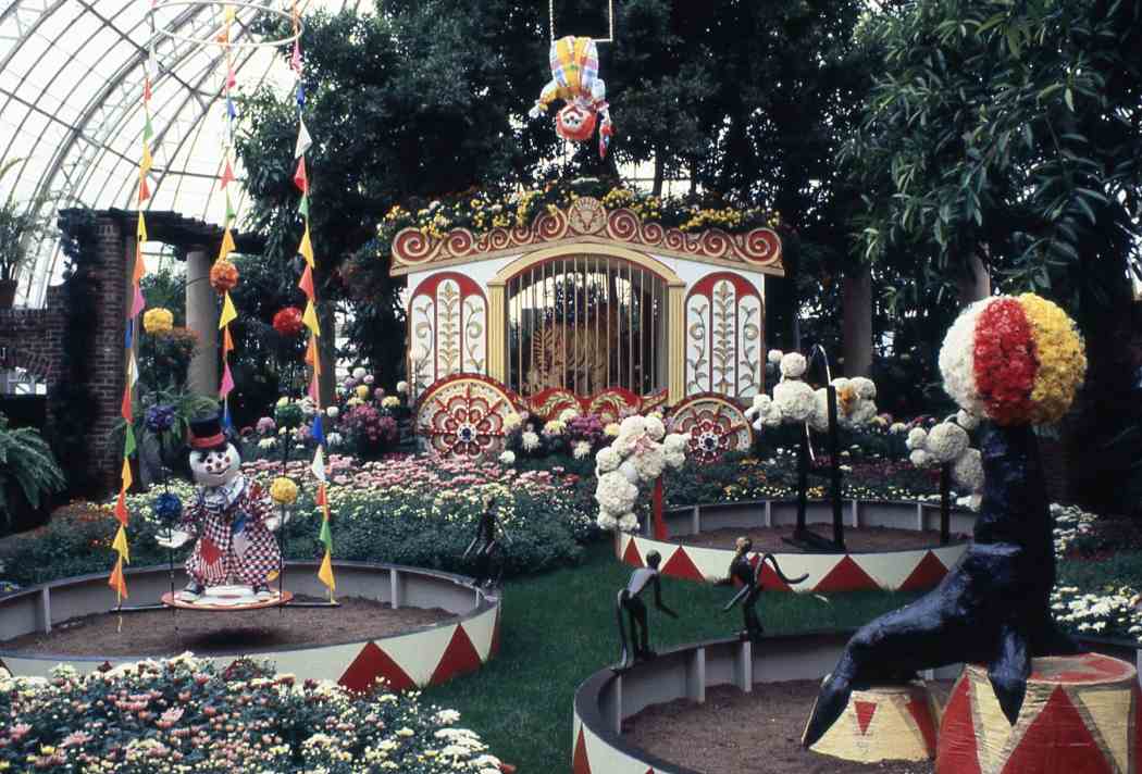 1979年秋季花展:大玻璃顶下最伟大的展览