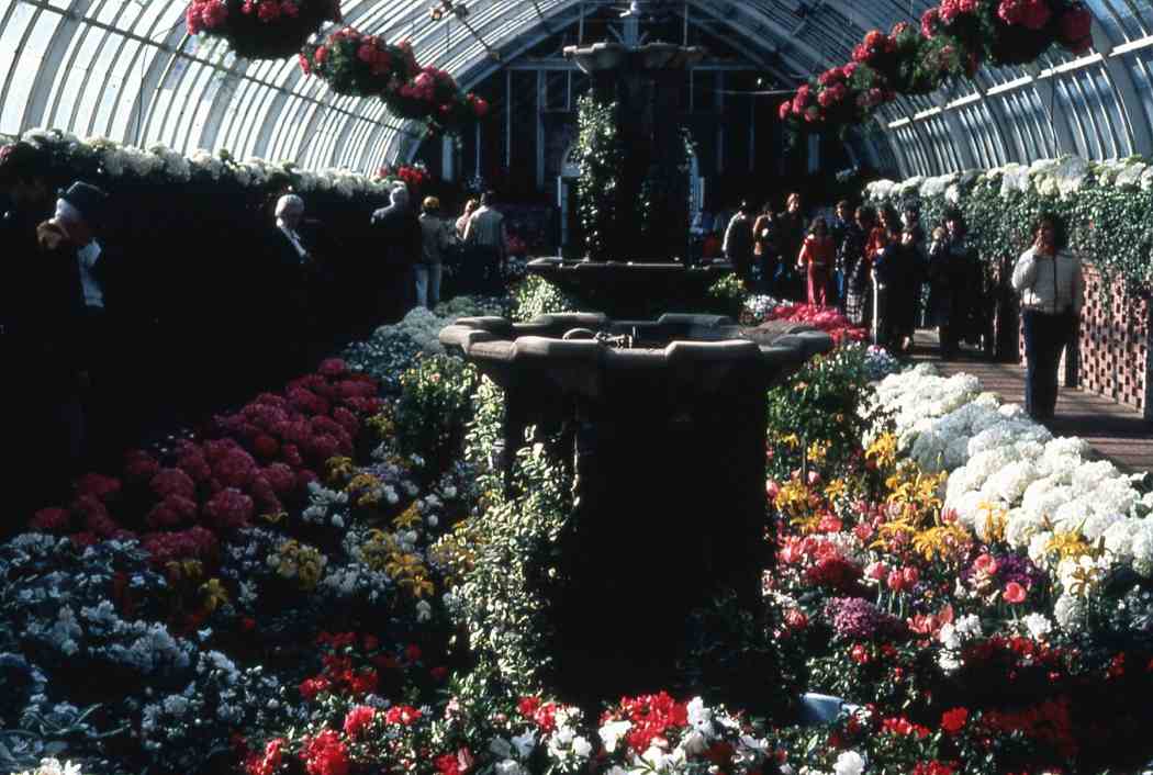 1980年春季花展:春天在南方