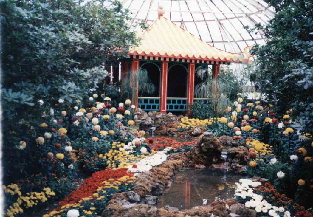 1986年秋天花展:中国——菊花起源