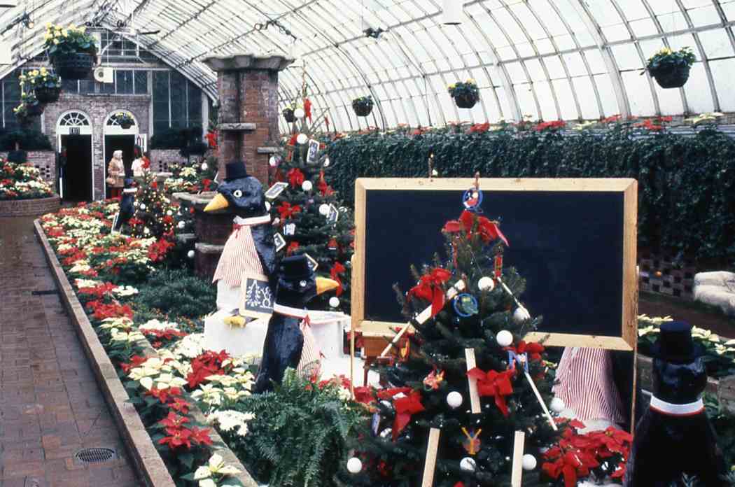 1987年冬季花展:从我们家到你的家