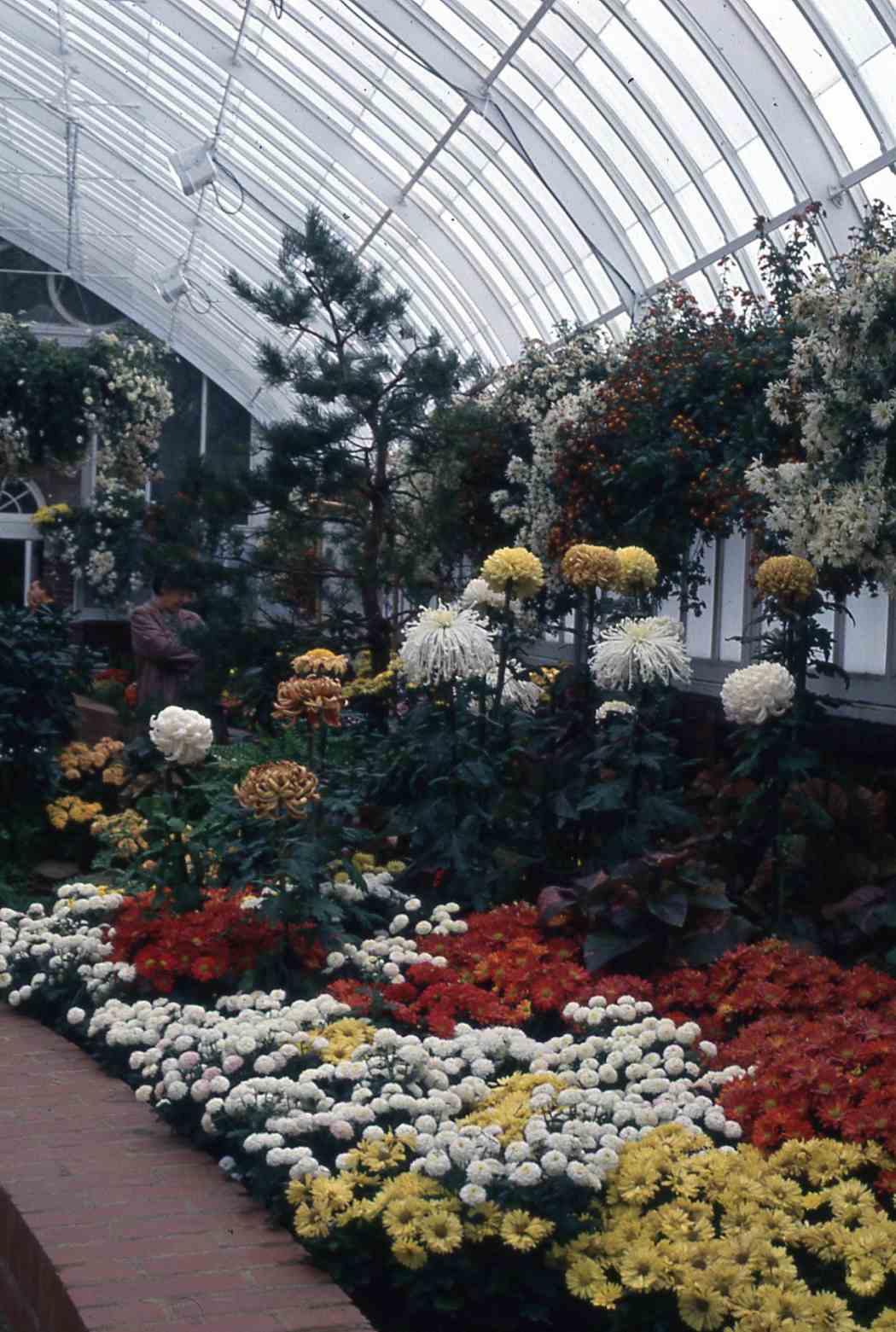 1991年秋季花展:花之祭