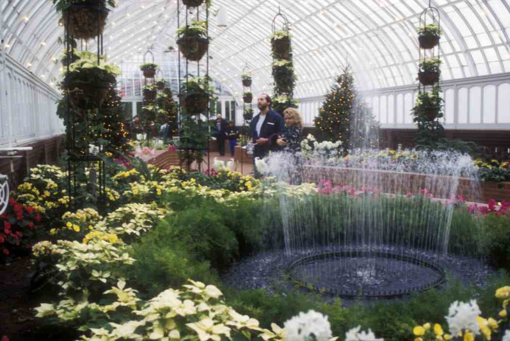 1995年冬季花卉展