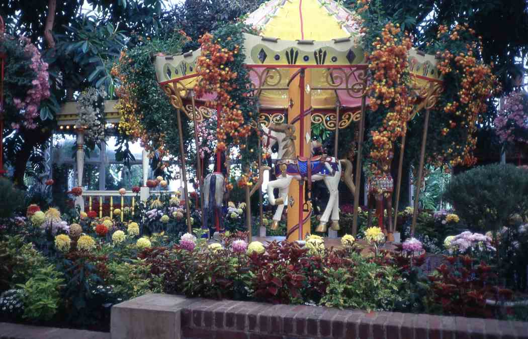 1997年秋季花展:色彩的狂欢