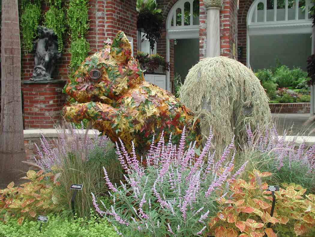 2004年秋季花展:收获的颜色