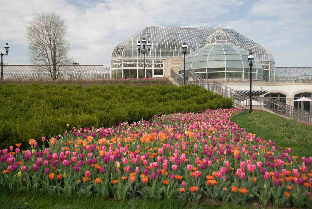 2008年春季花展