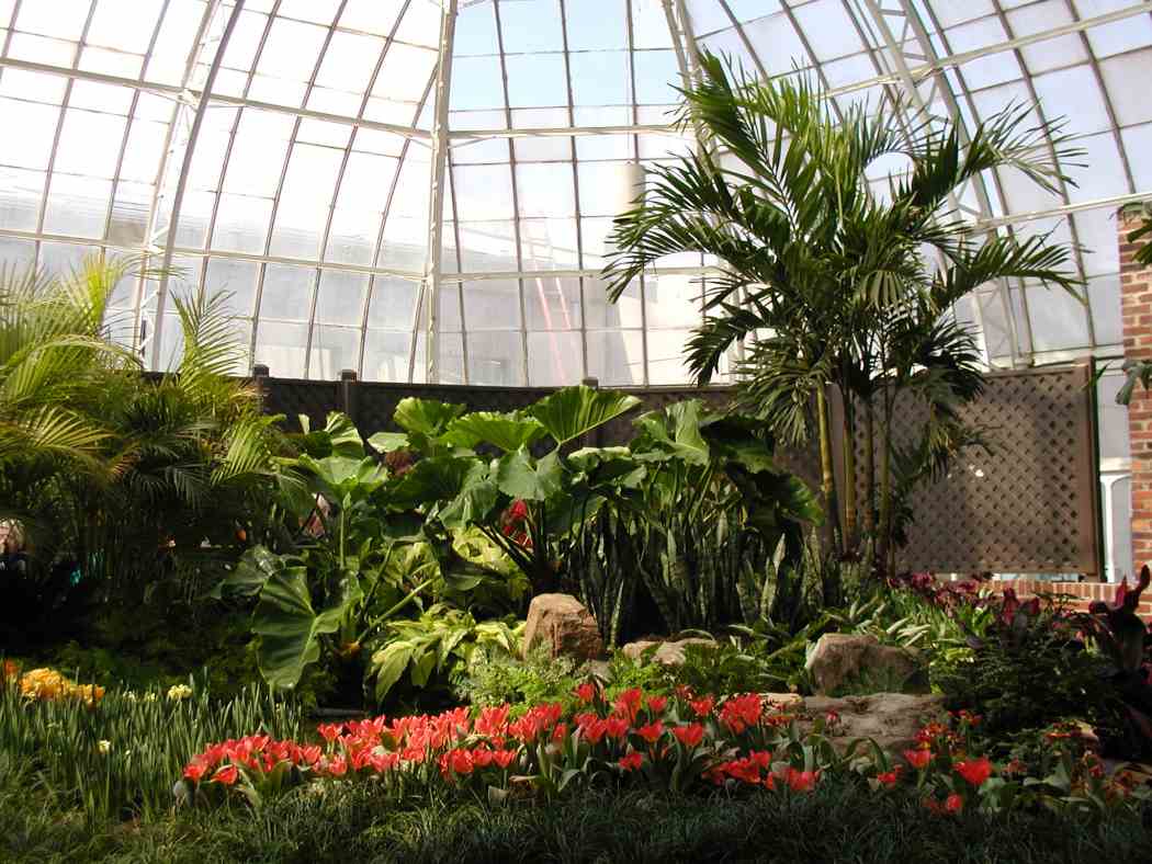 2006年春季花展:在热带地区