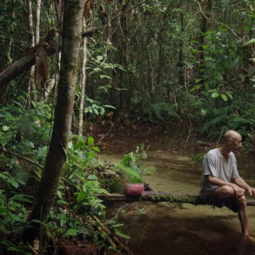 刚果热带雨林:这部电影吗?